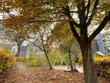 Træ på legepladsen